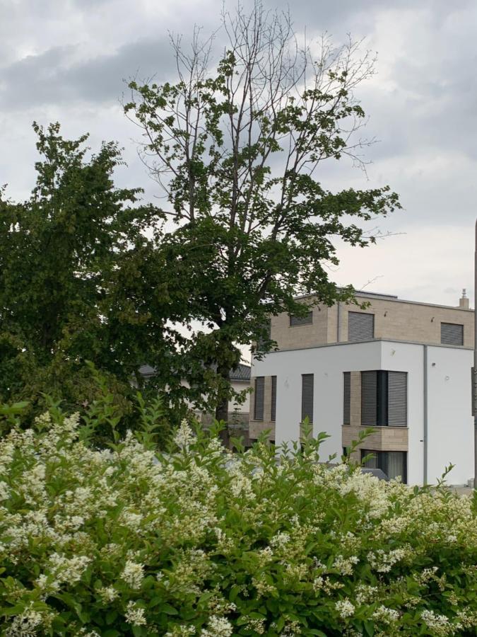 Mosaikhaus Smart Home Würselen Eksteriør bilde